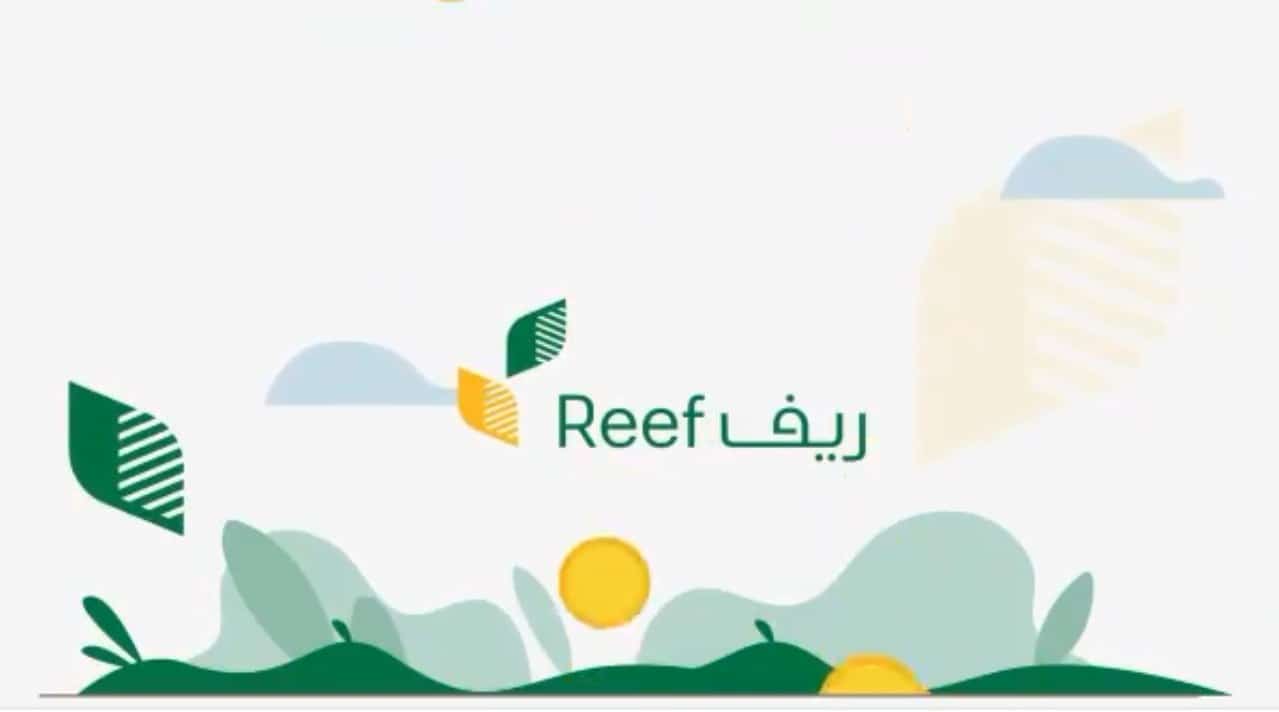 منصة دعم ريف