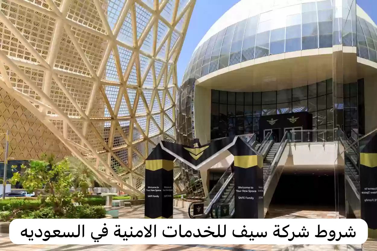 شركة سيف