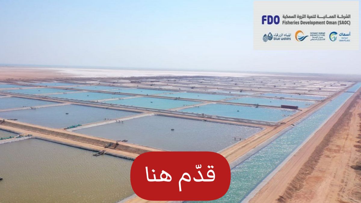 الحق أقوى وظائف عمان مقدمة من شركة تنمية أسماك عمان لجميع العرب وبمختلف التخصصات