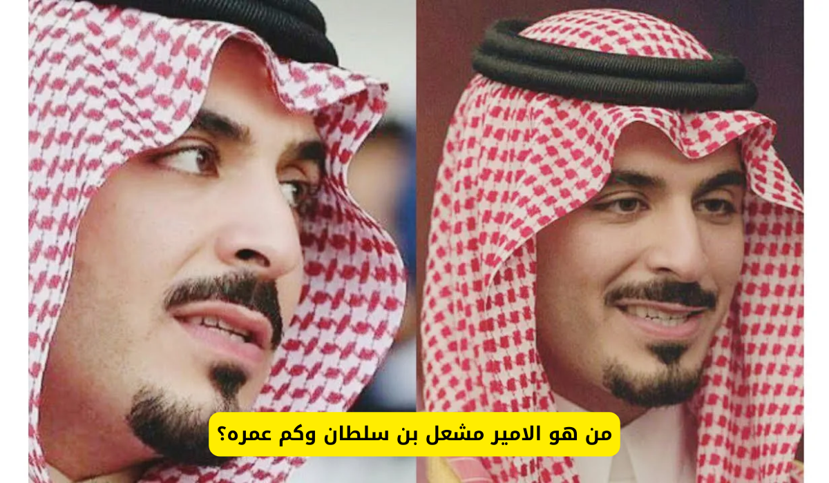 الامير مشعل بن سلطان