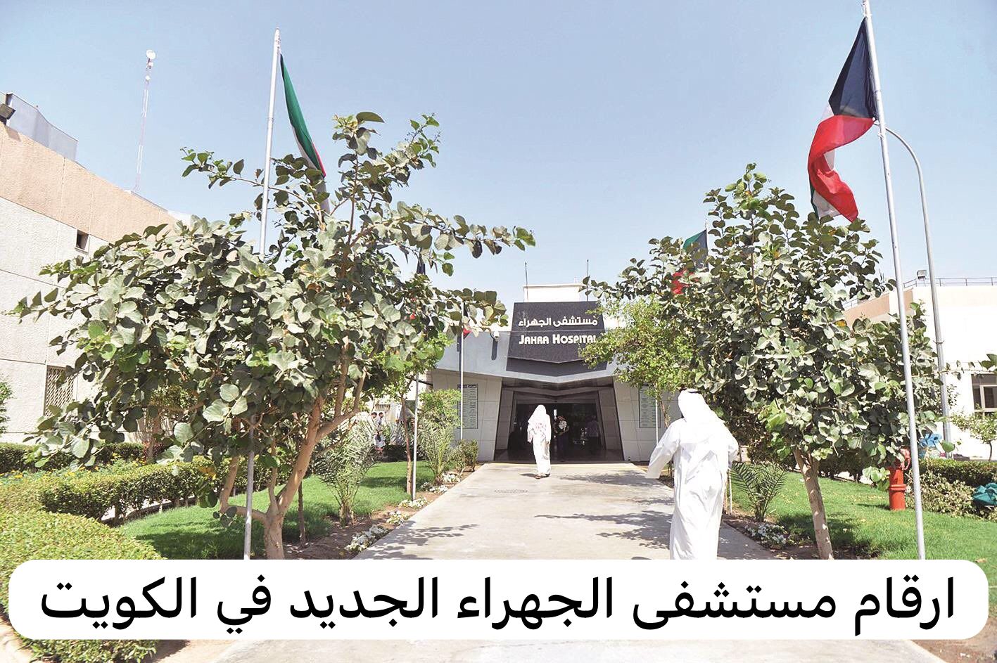 ارقام مستشفى الجهراء الجديد