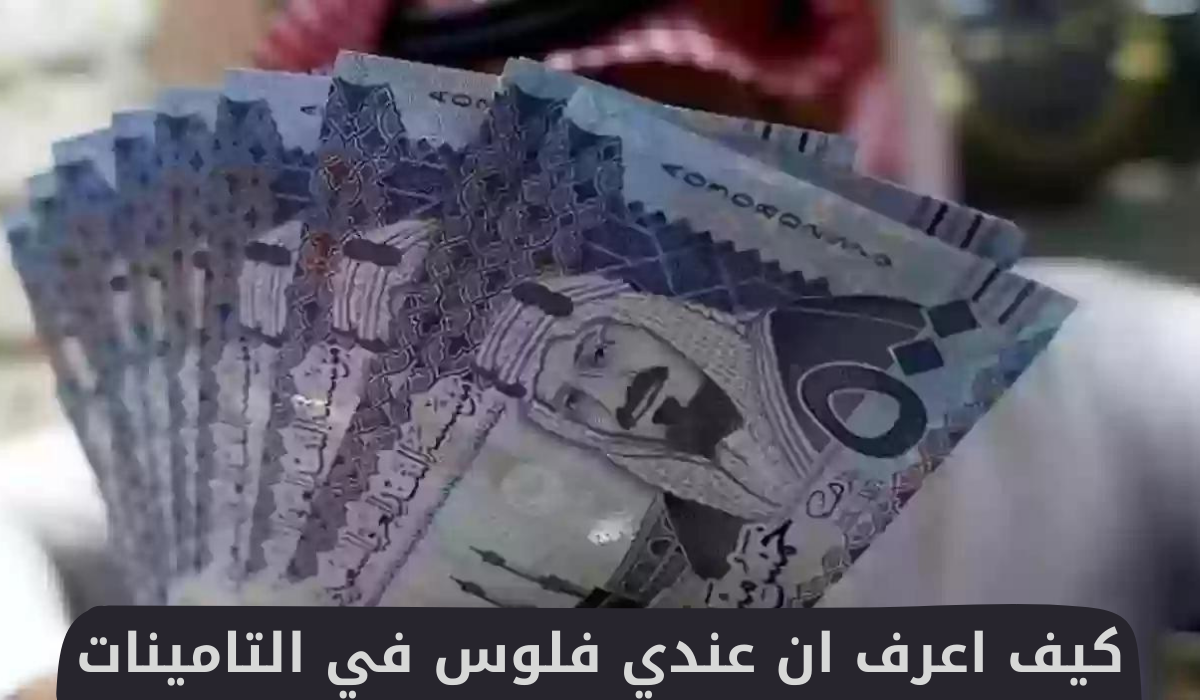 كيف اعرف ان عندي فلوس في التامينات