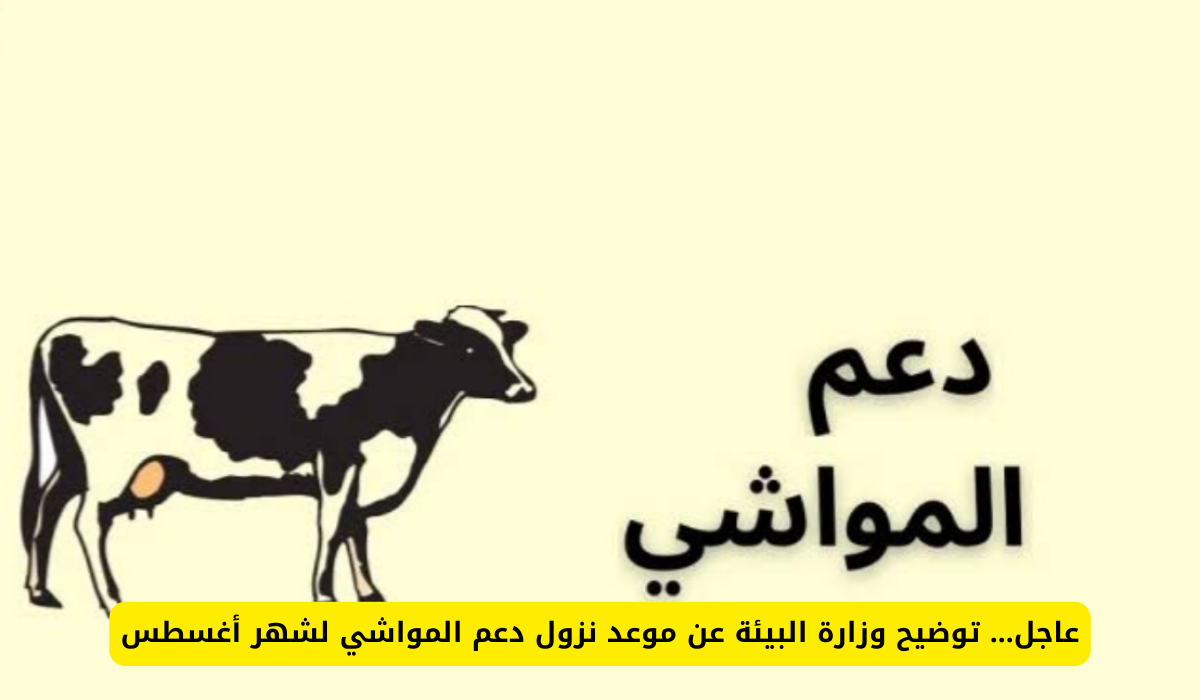 دعم المواشي