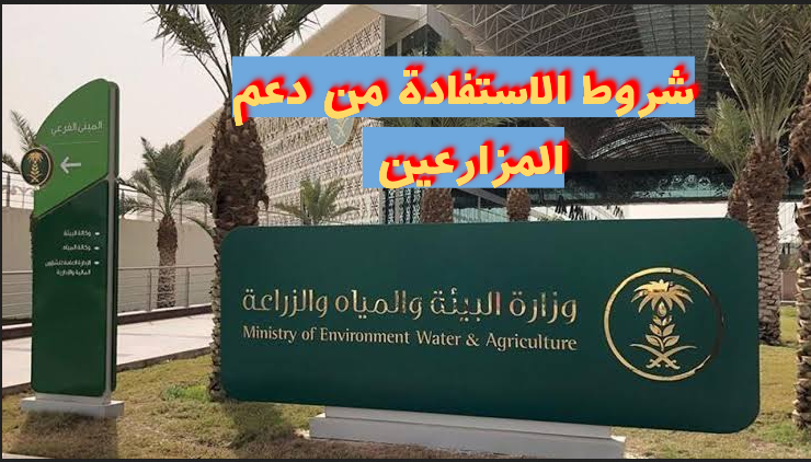 شروط الاستفادة 
